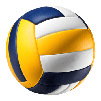 Balón De Volibol